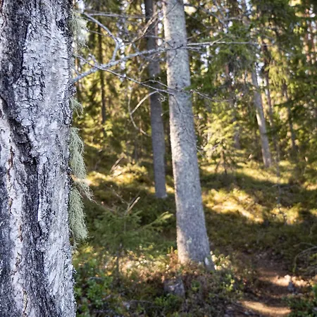 Keurusselaen Lomamoekit Keuruu